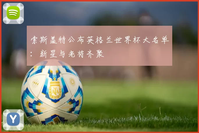 索斯盖特公布英格兰世界杯大名单:新星与老将齐聚