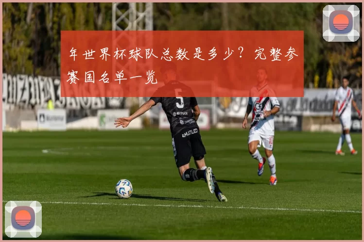 年世界杯球队总数是多少?完整参赛国名单一览