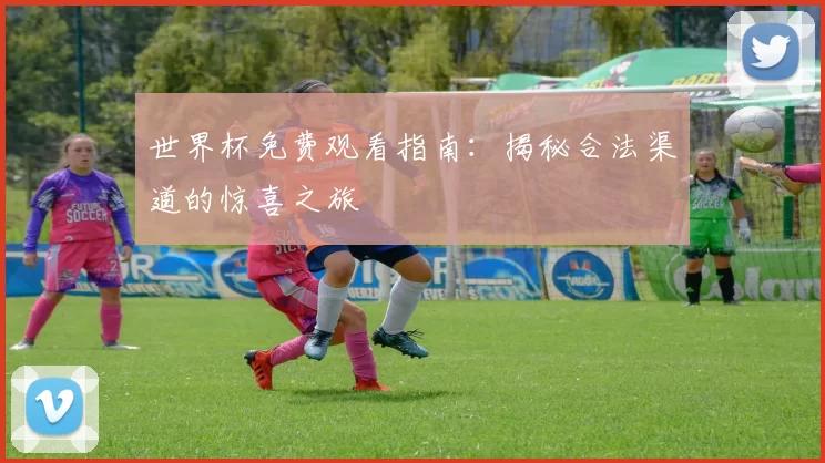世界杯免费观看指南:揭秘合法渠道的惊喜之旅
