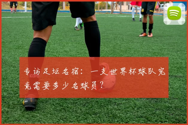 专访足坛名宿:一支世界杯球队究竟需要多少名球员?