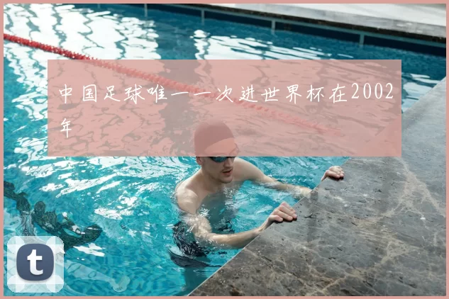 中国足球唯一一次进世界杯在2002年