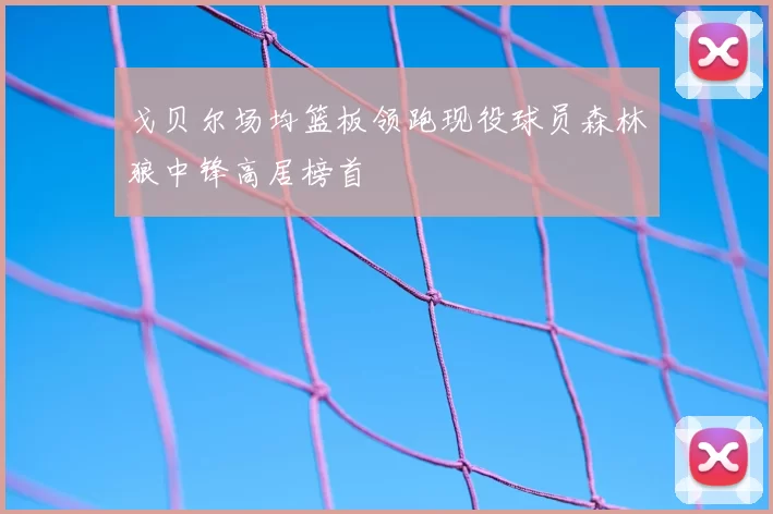 戈贝尔场均篮板领跑现役球员森林狼中锋高居榜首