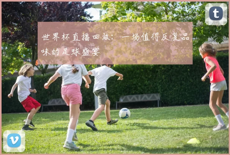 世界杯直播回放:一场值得反复品味的足球盛宴