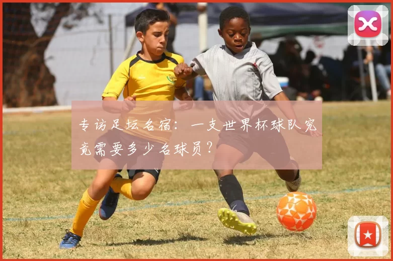 专访足坛名宿：一支世界杯球队究竟需要多少名球员？