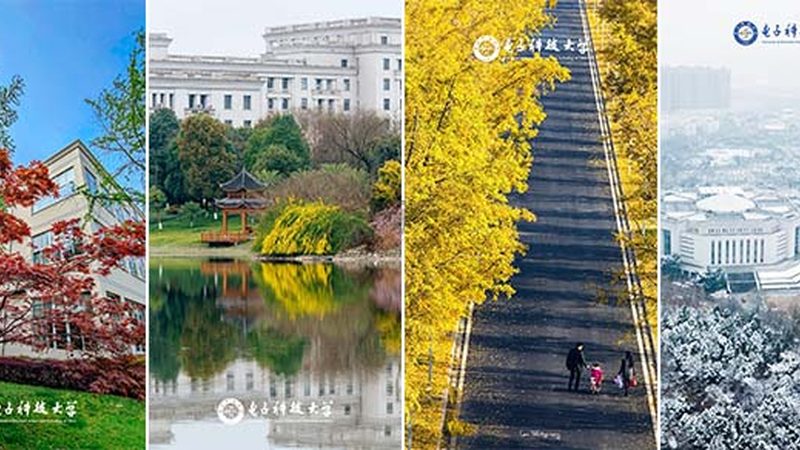 贴片电阻电容：规格参数解析与尺寸分类全解析