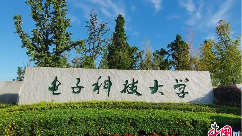 电子元器件厂家排名：揭秘选购背后的注意事项